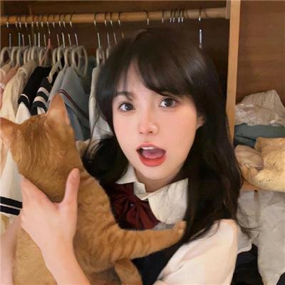 口碑好剧